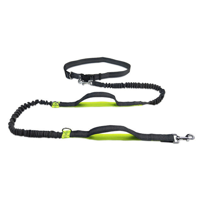 Pet Adjustable Jogging Harness Collar Leash Set