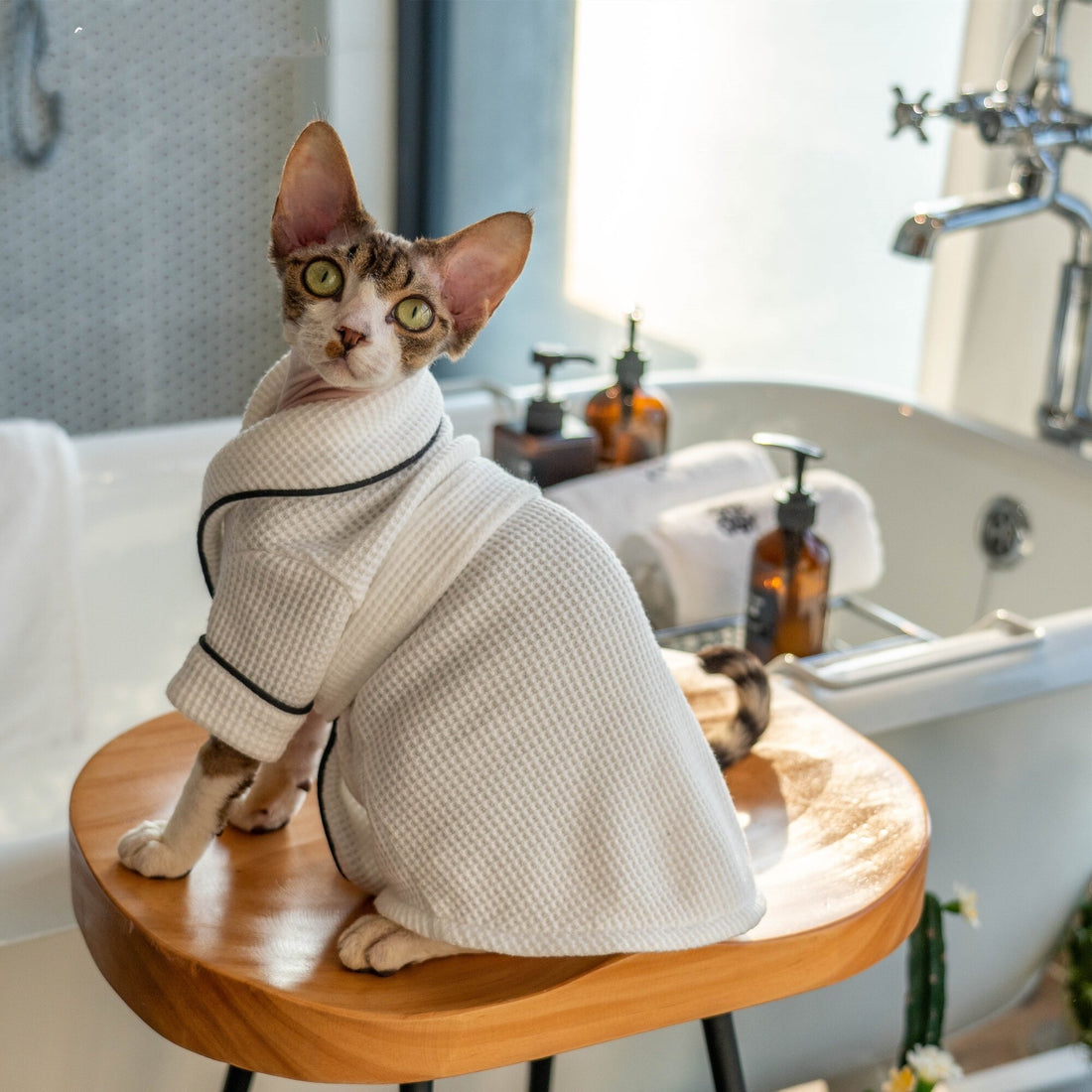 Pet Bathrobe And Bath Towel Soft Highly Absorbent