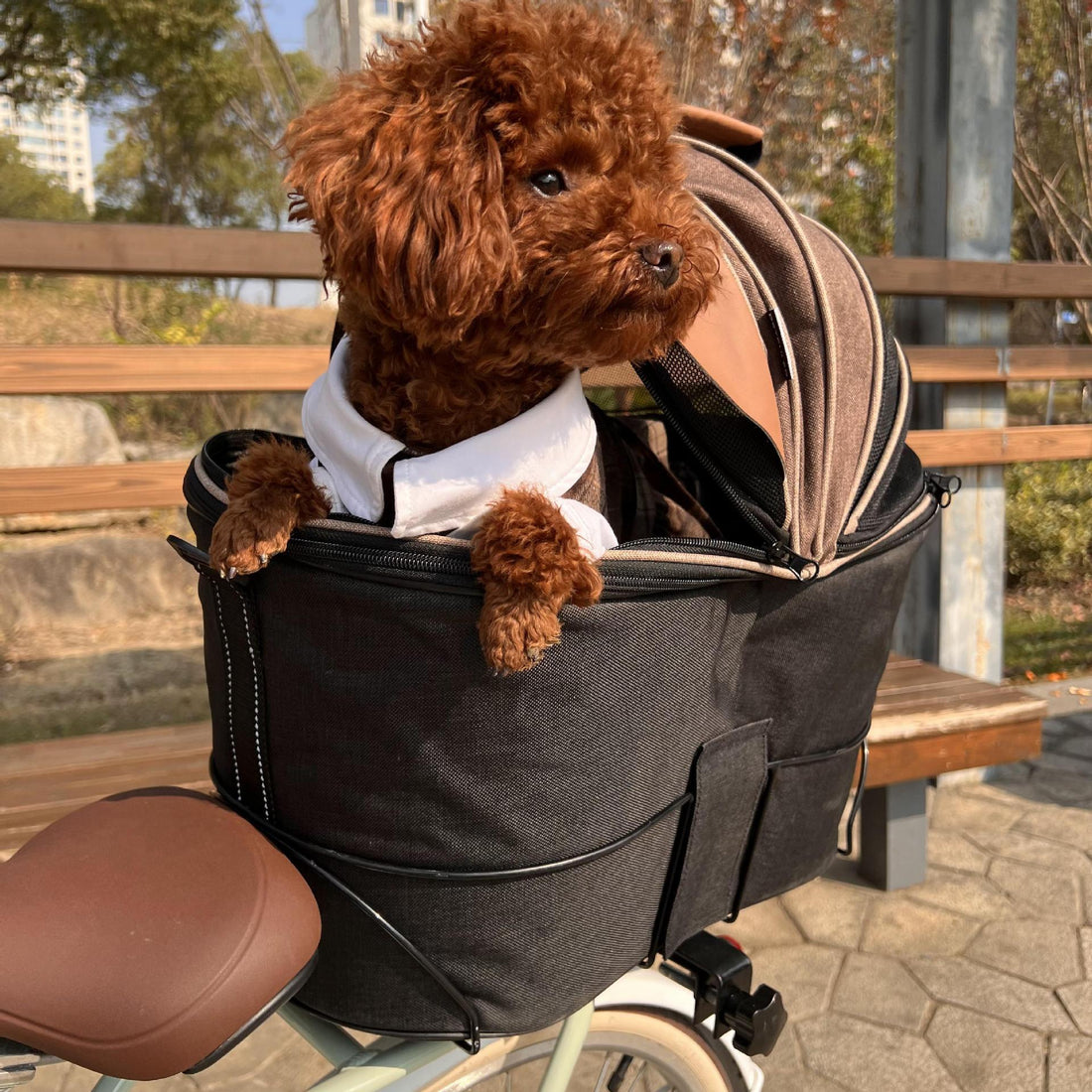 Foldable Pet Canvas Rear Seat Carrier Travel Bag
