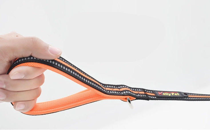 Pet Nylon Assisted Retractable Control Leash