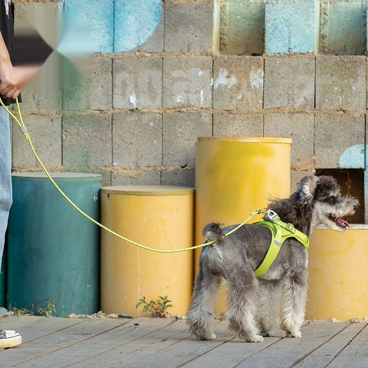 Pet Colorful Adjustable Sliding Control Leash Rope