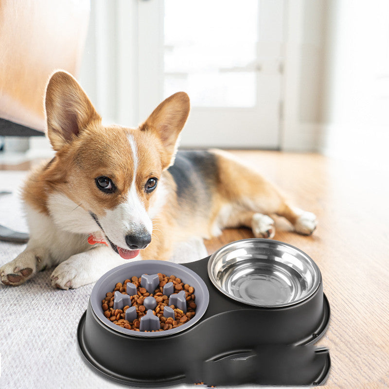 Pet Removable Slow Feeding Bowl System