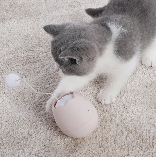 Funny Interactive Pet Toy For Play And Entertainment