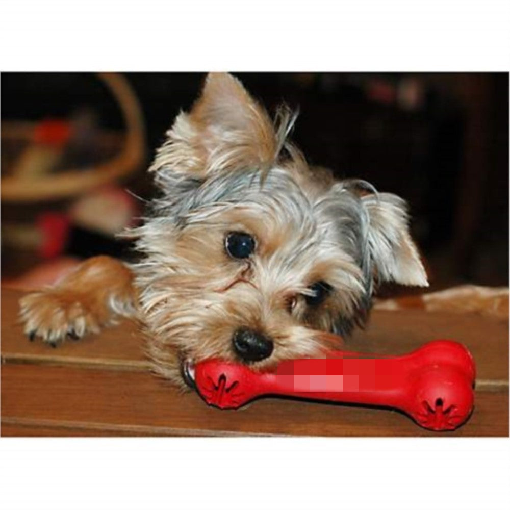 Pet Bite Resistant Rubber Toy For Teeth Grinding