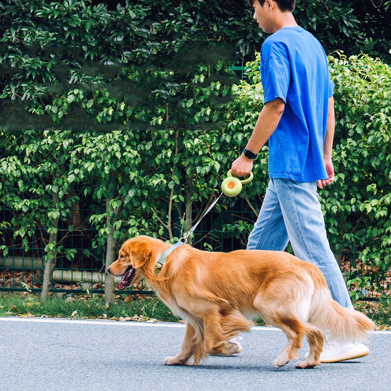 Pet Retractable Reflective Control Leash Rope