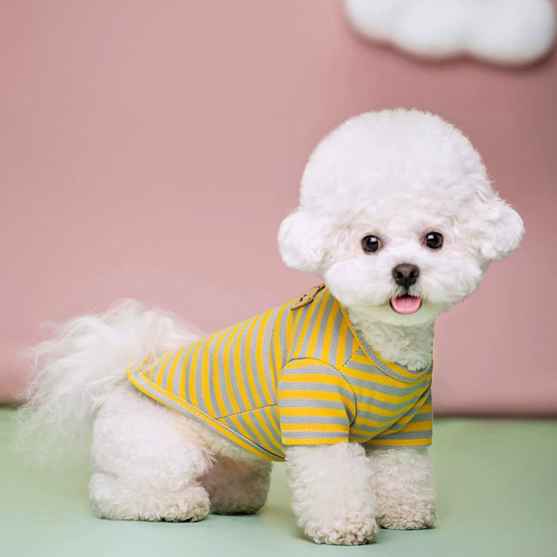 Pet Breathable Summer T-Shirt Apparel