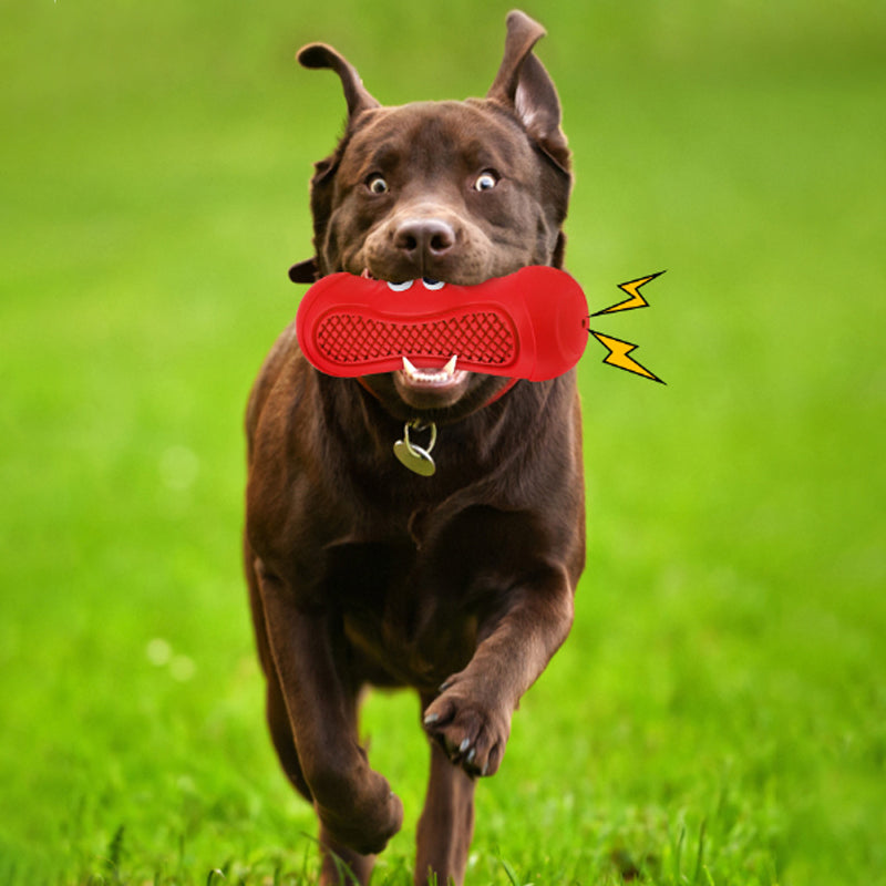 Pet Rugby Toy With Squeaker Natural Rubber Chew Design