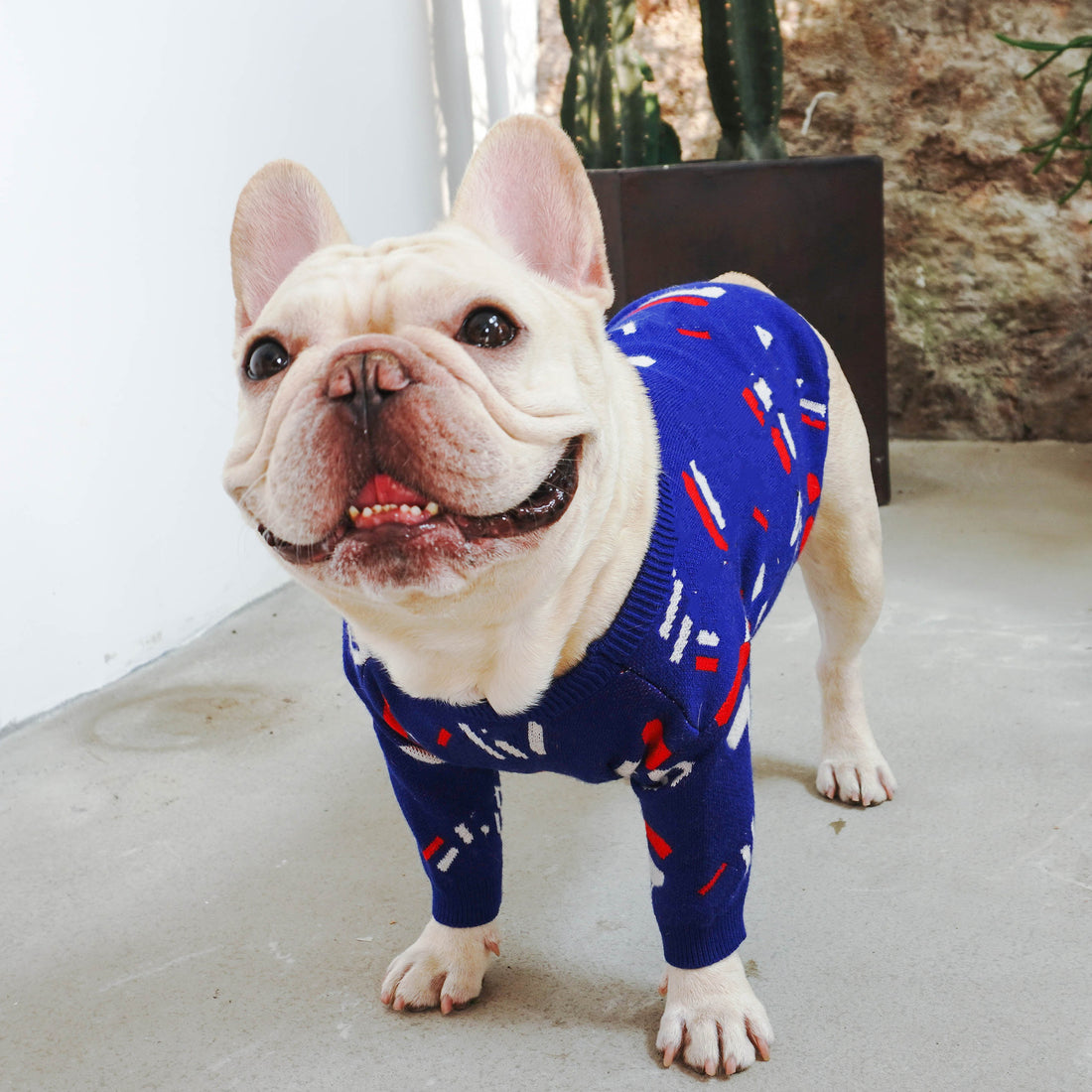 Pet Sweater Apparel Clothing