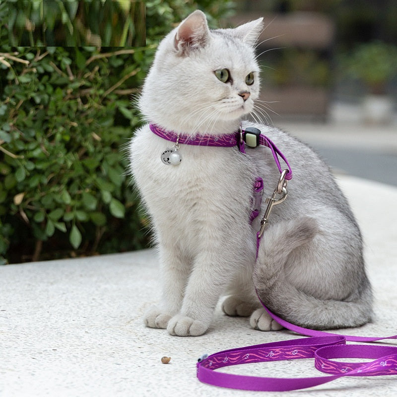 Pet Bell Chest Strap Vest Leash Control Harness Set