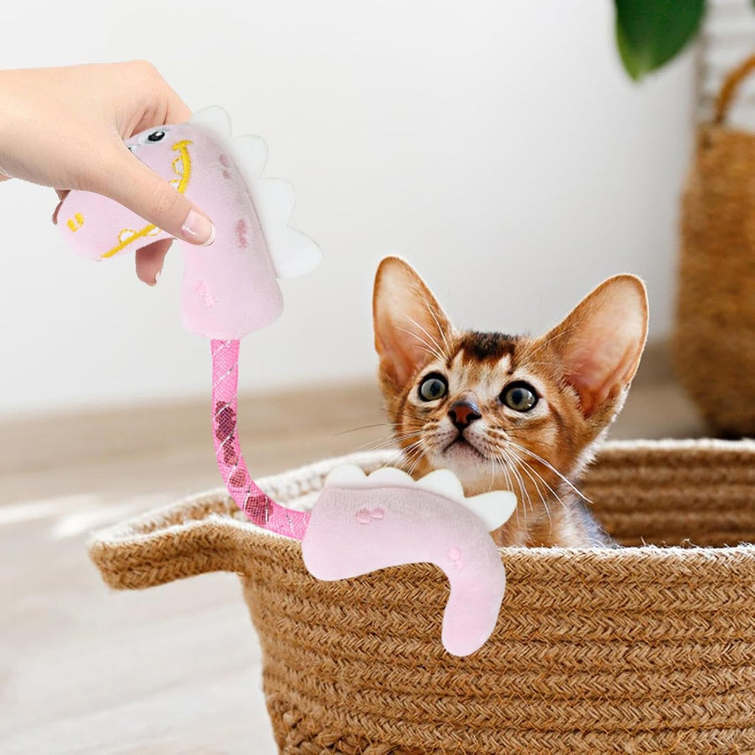 Pet Chew Rope Interactive Teeth Cleaning Toy