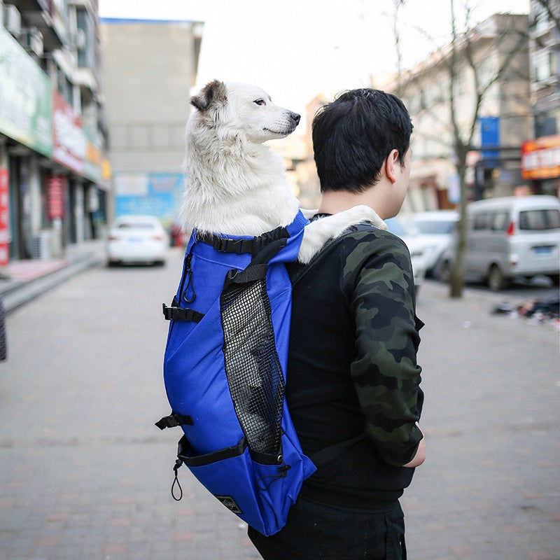 Portable Pet Carrier Backpack Double Shoulder Travel Bag