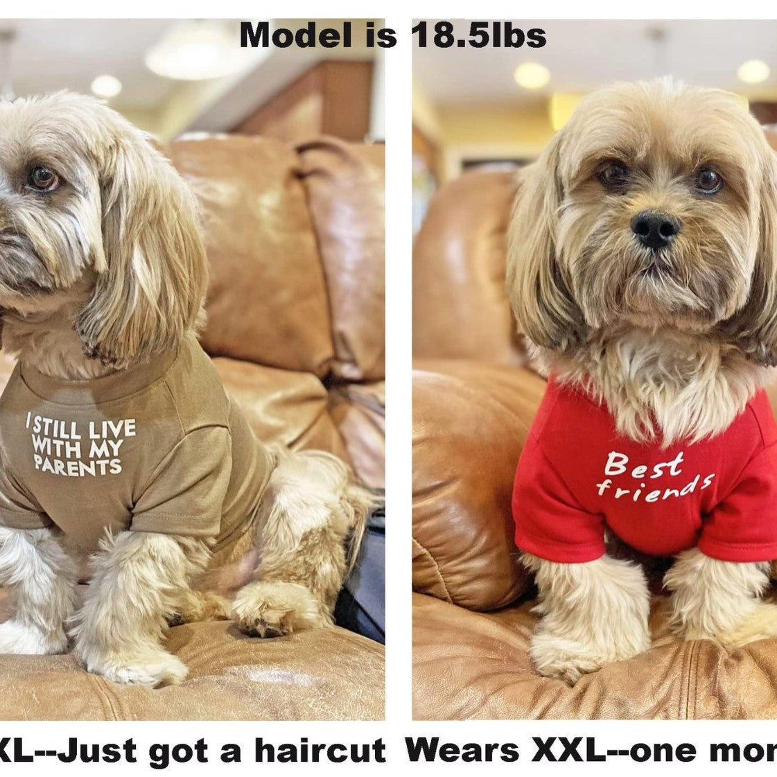 Pet Round Neck T-Shirt Apparel