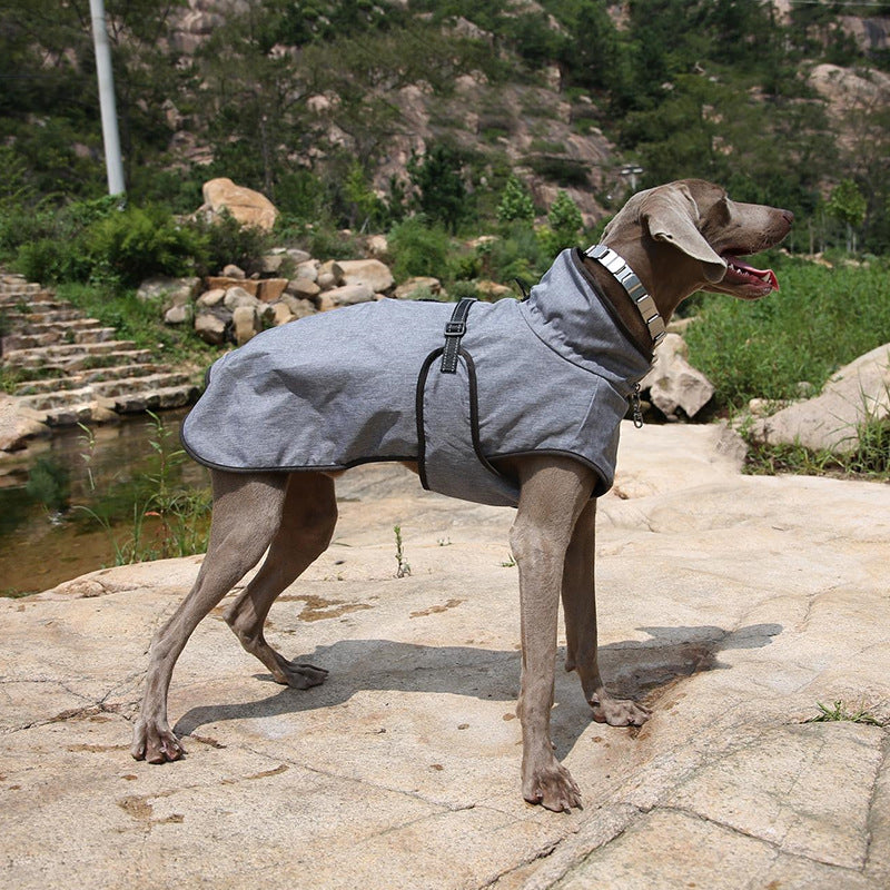 Pet Winter Outdoor Shell Ski Jacket Apparel