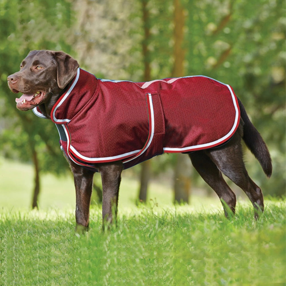 Pet Warm Waterproof Leisure Jacket For Cold Seasons