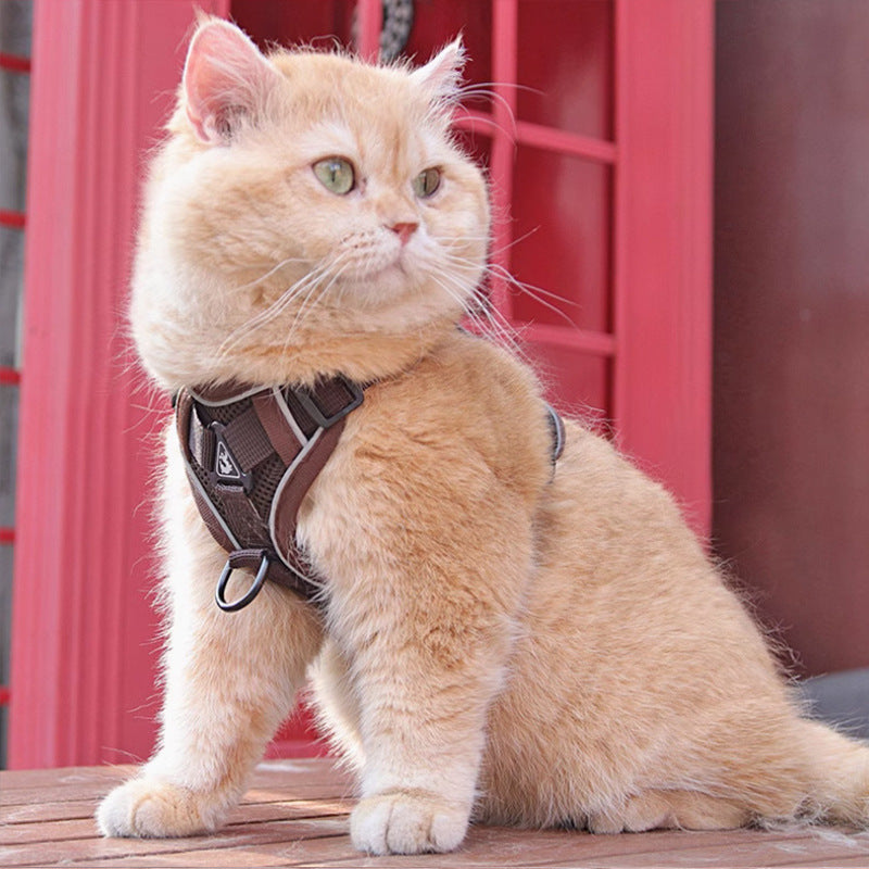 Pet Chest Strap Vest Harness With Leash Set