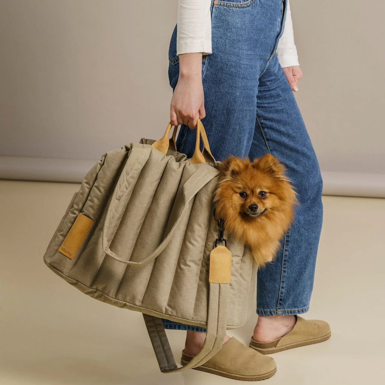 Portable Waterproof Pet Carrier Lightweight Fashion Handbag