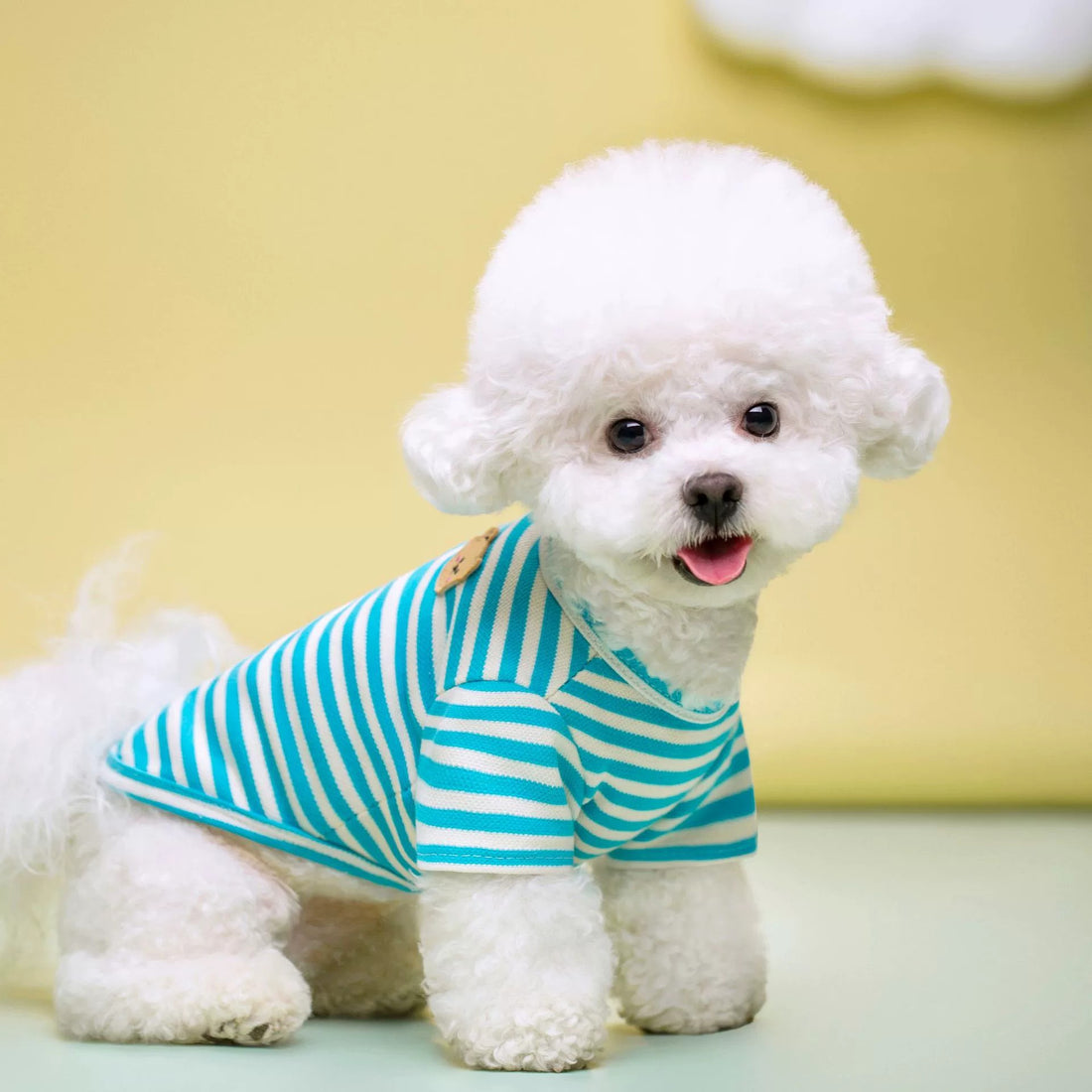Pet Breathable Summer T-Shirt Apparel