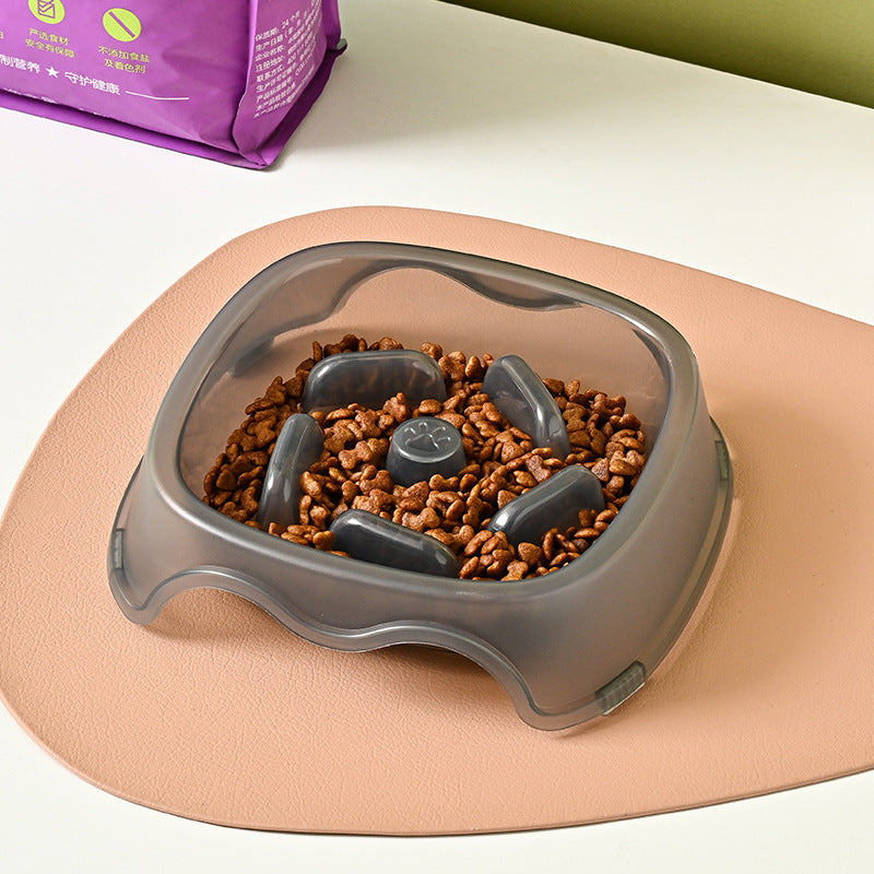 Pet Slow Feeding Anti Choking Water Bowl System