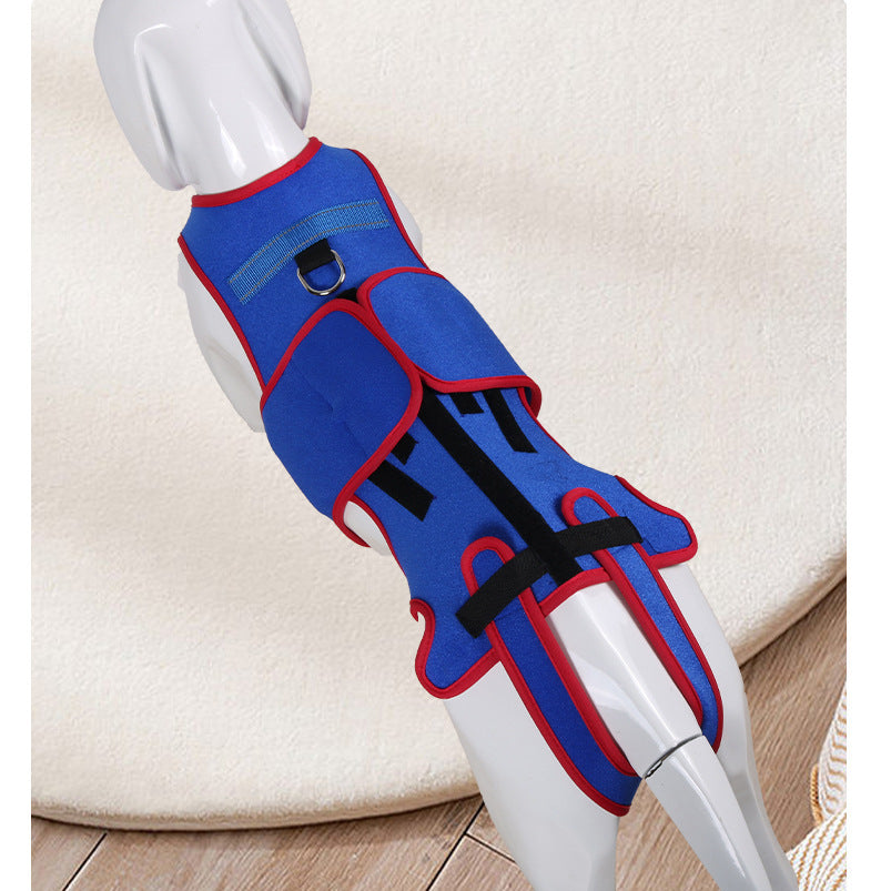 Pet Spine Support Posture Correction Jacket Apparel