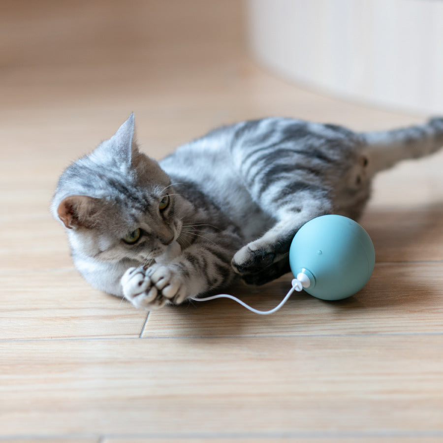 Funny Electric Interactive Pet Toy For Active Play