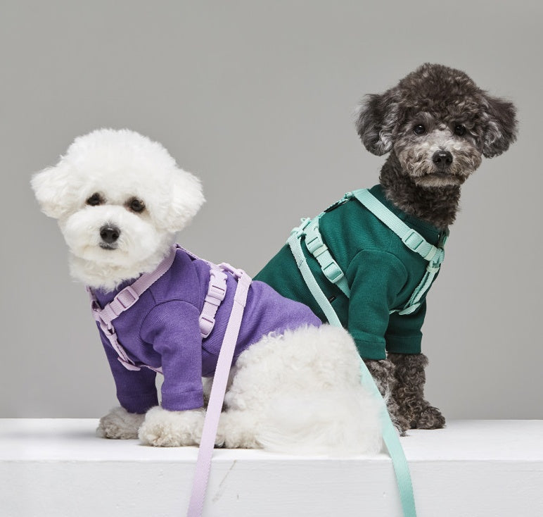 Pet Macaron Style Fashion Leash Rope Walking Lead