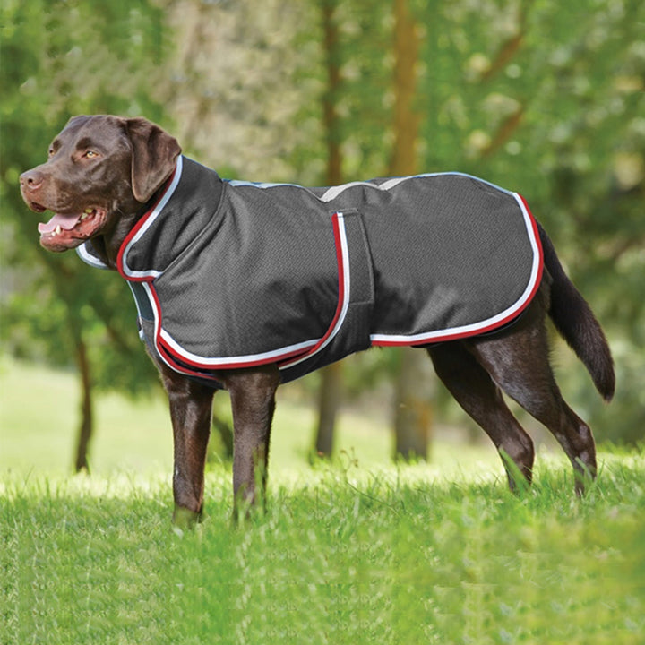 Pet Warm Waterproof Leisure Jacket For Cold Seasons