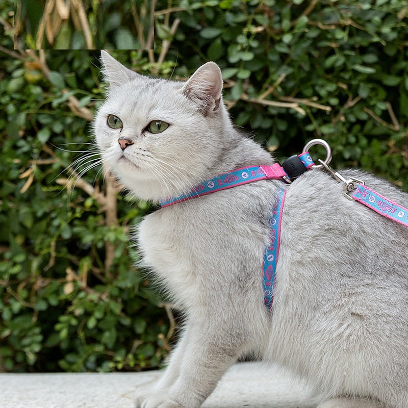 Pet Bell Chest Strap Vest Leash Control Harness Set