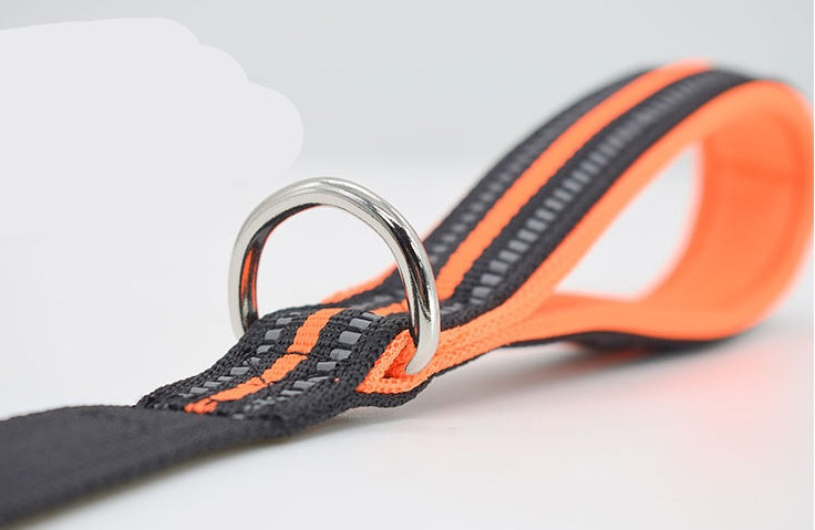 Pet Nylon Assisted Retractable Control Leash