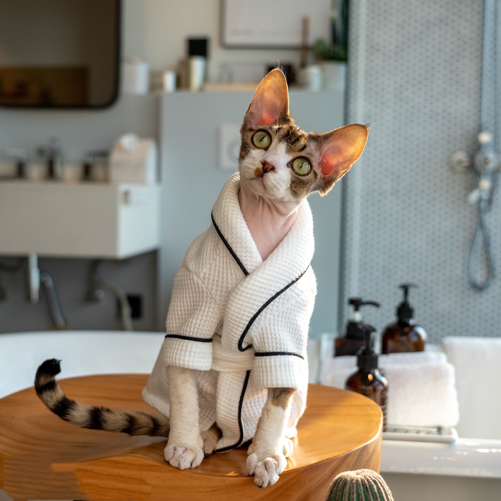 Pet Bathrobe And Bath Towel Soft Highly Absorbent