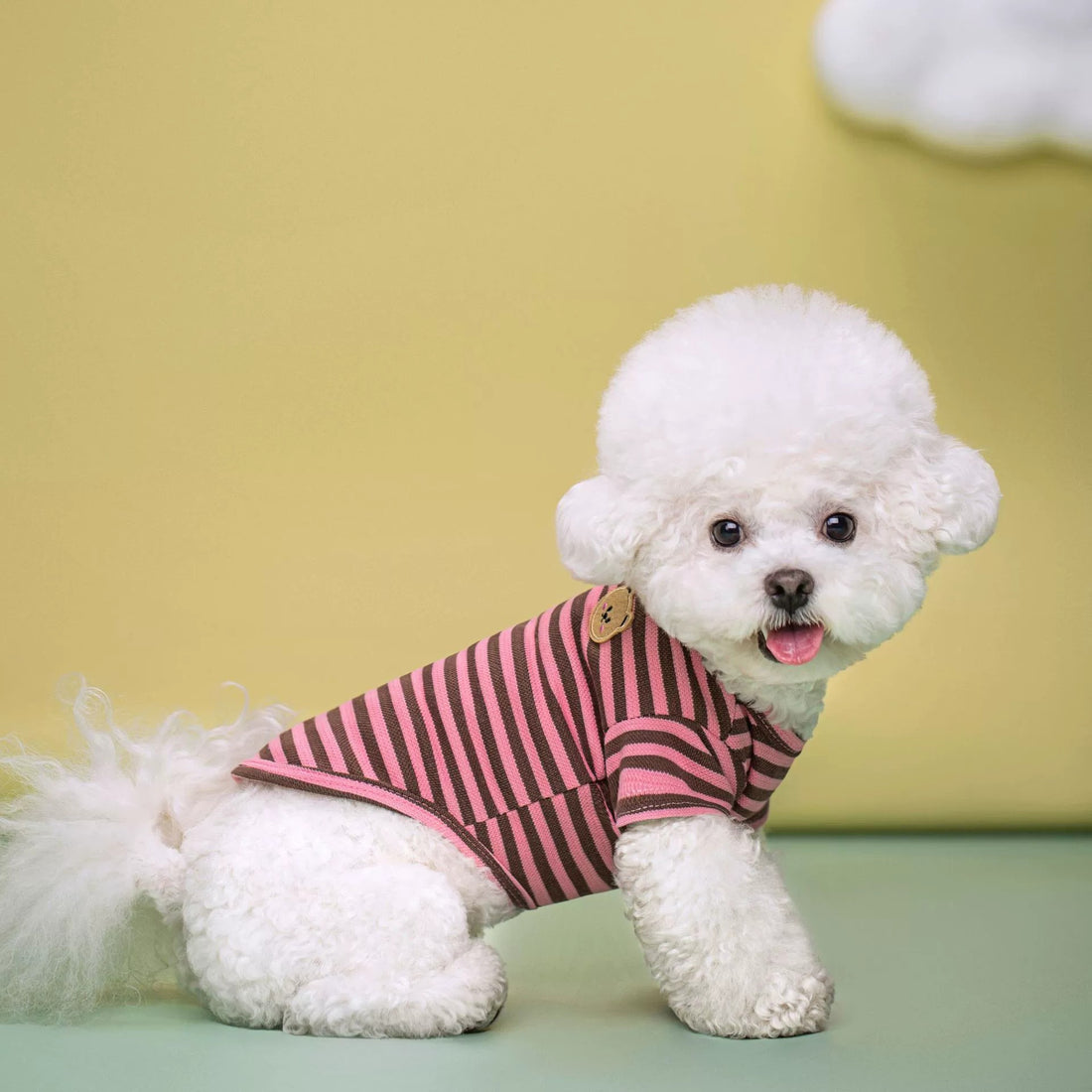 Pet Breathable Summer T-Shirt Apparel