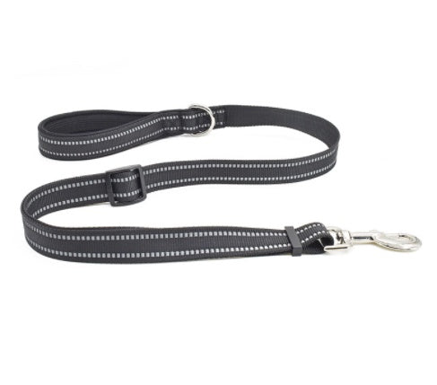 Pet Nylon Assisted Retractable Control Leash