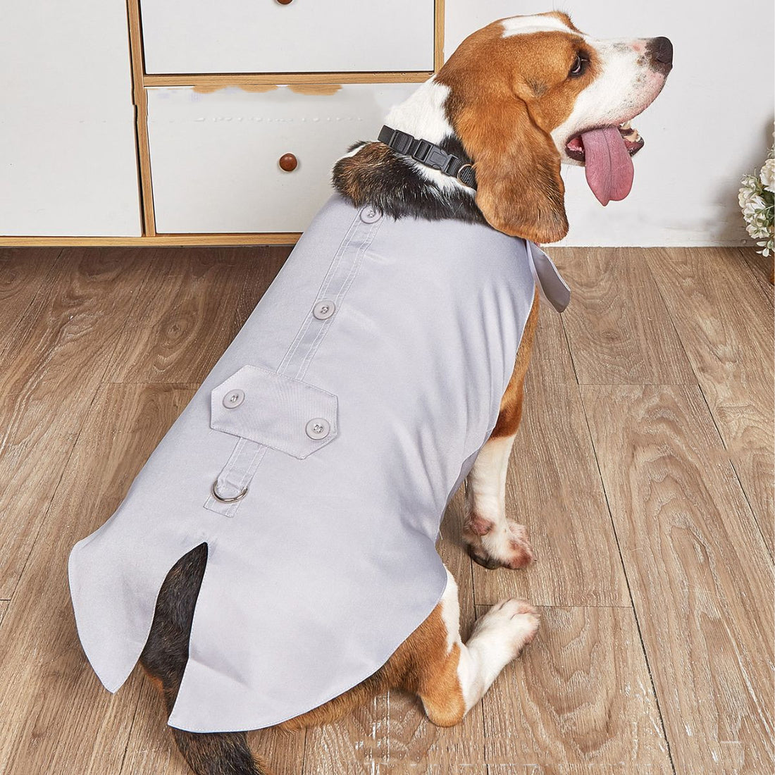 Pet Swallowtail Wedding Suit Jacket Outfit