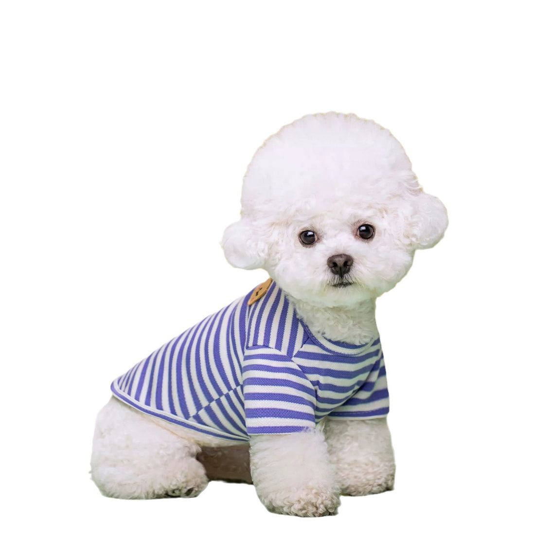 Pet Breathable Summer T-Shirt Apparel