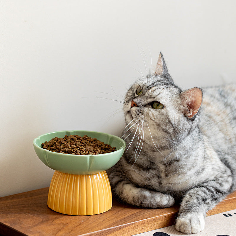 Pet Macaron Color Ceramic Feeding Bowl Anti-Slip Design
