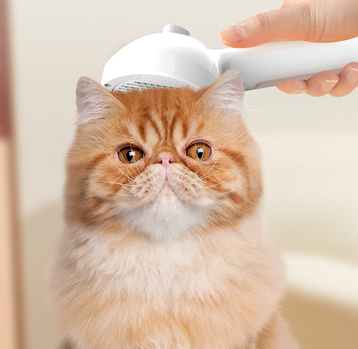 Pet Self Cleaning Grooming Comb With Mist Hair Remover Tool