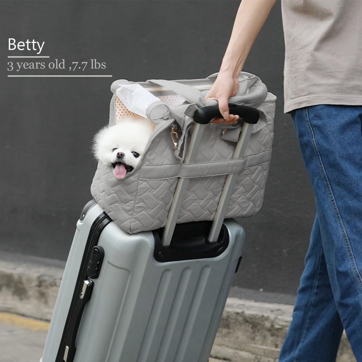 Portable Pet Carrier Tote Breathable Mesh Travel Bag