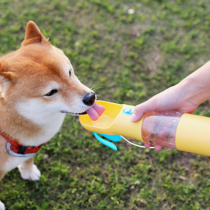 d40f8a240abdc0ce9e9e1eb007096348