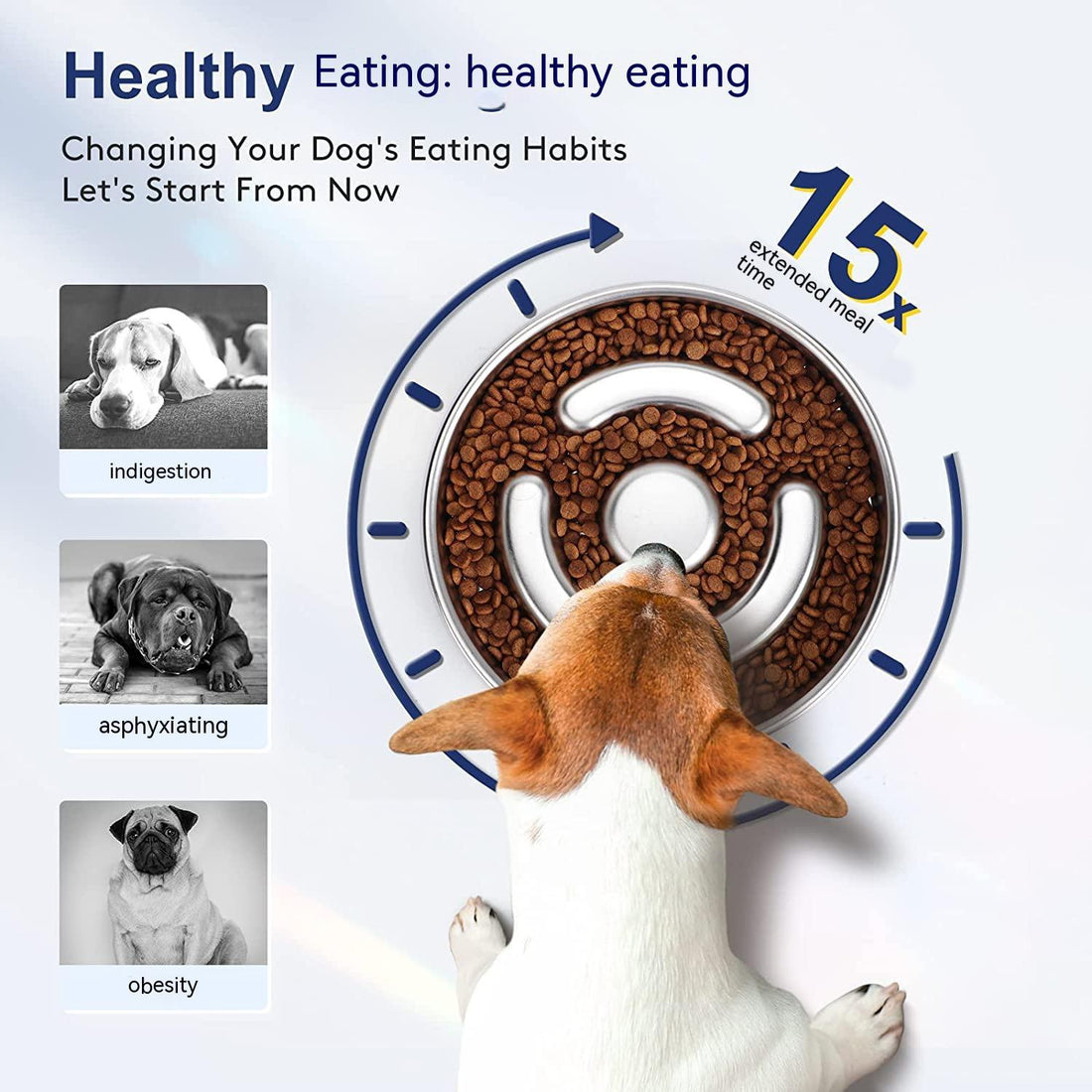 Pet Stainless Steel Slow Feeding Bowl Neck Support System