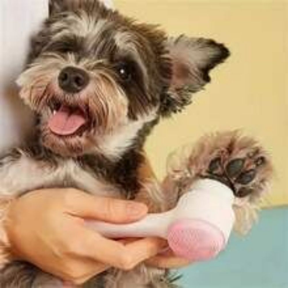 Pet Nylon Paw Brush Gentle Grooming And Massage Tool