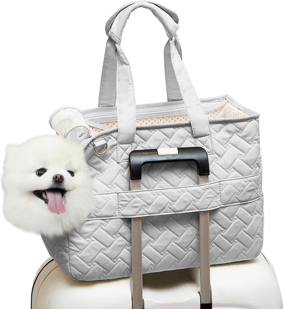 Portable Pet Carrier Tote Breathable Mesh Travel Bag