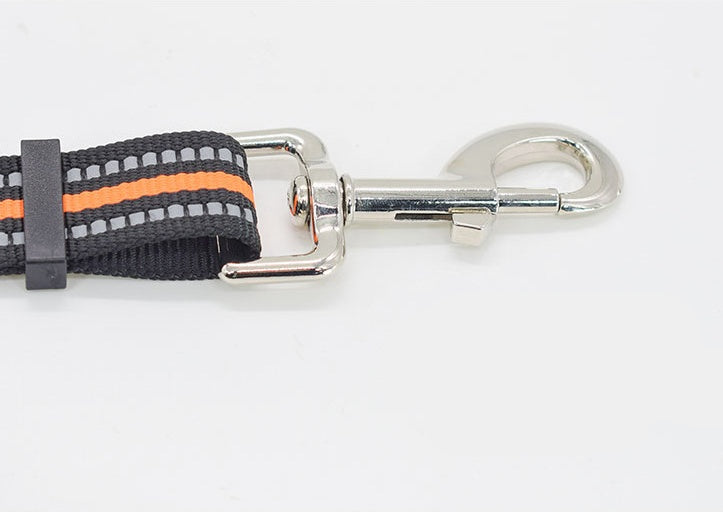 Pet Nylon Assisted Retractable Control Leash