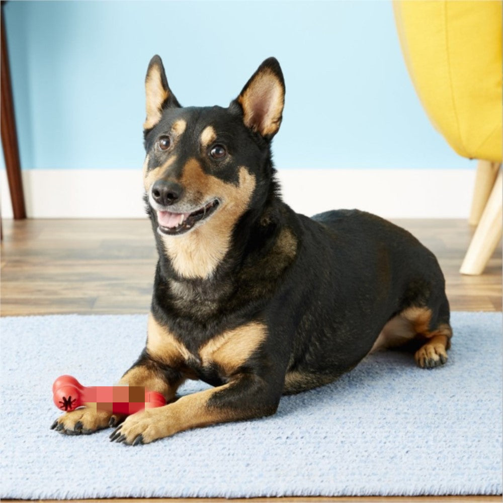 Pet Bite Resistant Rubber Toy For Teeth Grinding