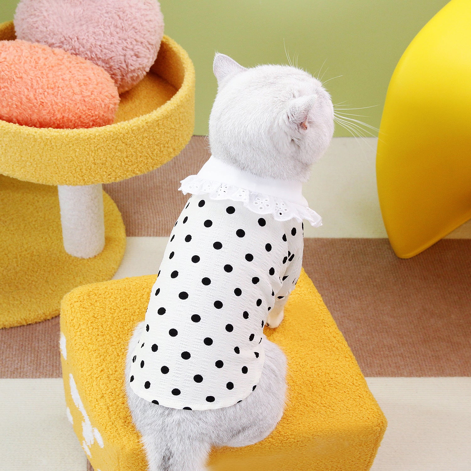 Pet Blue Ragdoll T-Shirt Apparel Clothing