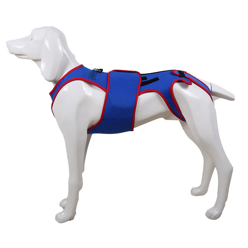 Pet Spine Support Posture Correction Jacket Apparel
