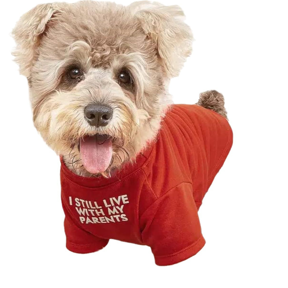 Pet Round Neck T-Shirt Apparel
