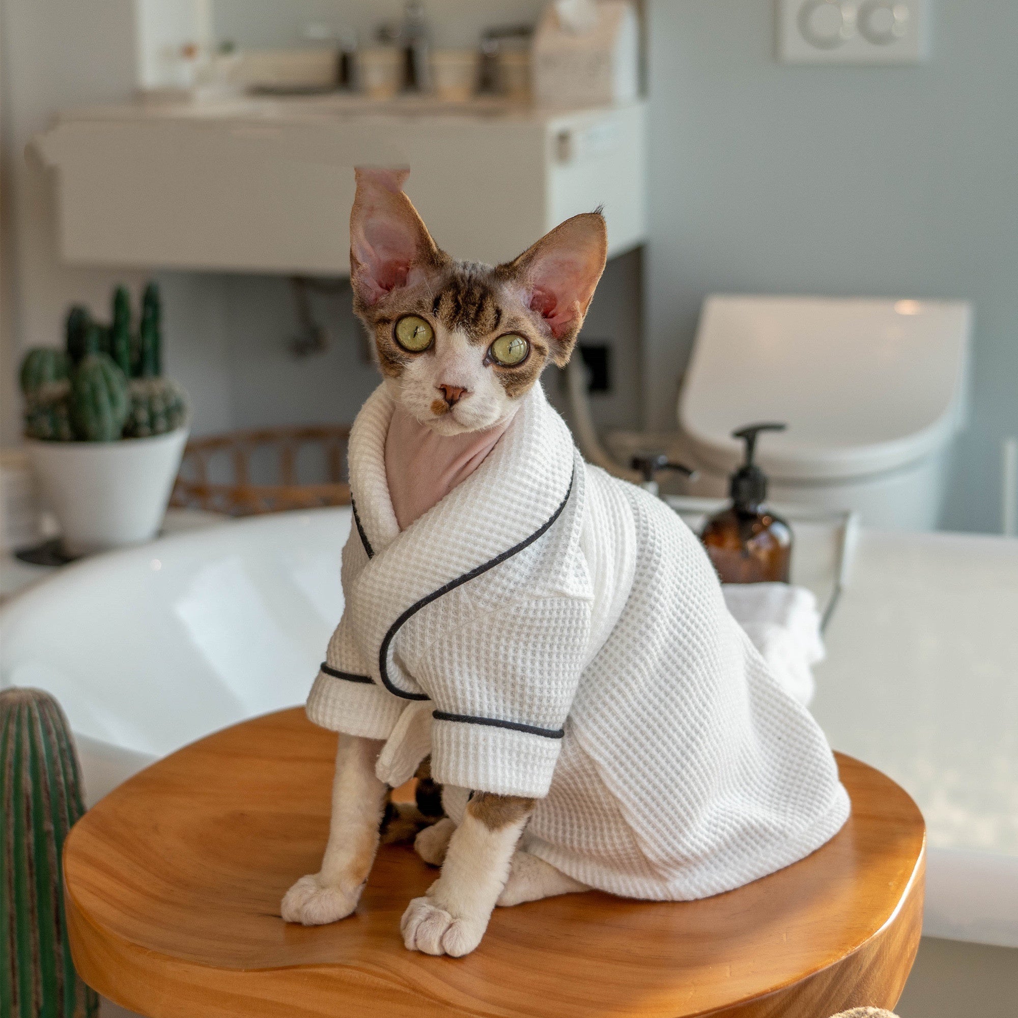 Pet Bathrobe And Bath Towel Soft Highly Absorbent