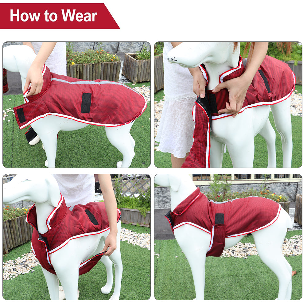 Pet Warm Waterproof Leisure Jacket For Cold Seasons