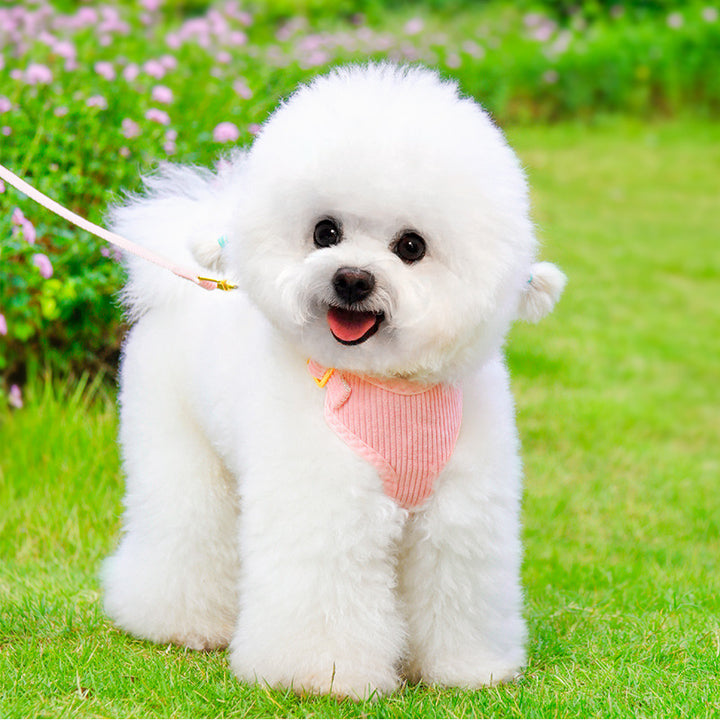 Pet Outdoor Harness And Leash Set