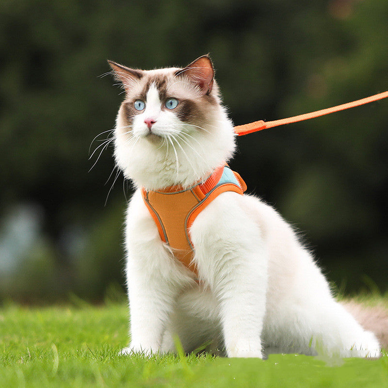 Pet Anti-Escape Reflective Harness Leash Set