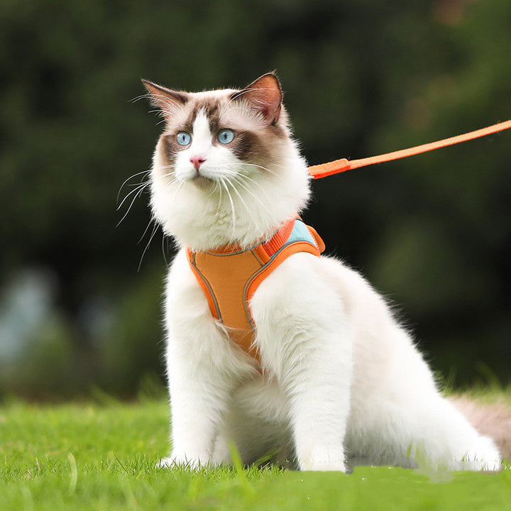 Pet Anti-Escape Reflective Harness Leash Set